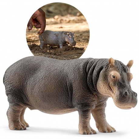 Schleich Wild Life - Hipopotam, figurka dla dzieci 3+