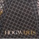 Harry Potter Hogwarts Ombrello automatico pieghevole nero, per ragazzo