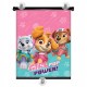 Paw Patrol Girl Power Parasol para coche, para niños, niñas 36x45 cm