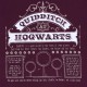 Bordowa piżama Quidditch Hogwarts Harry Potter