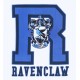 Biały t-shirt Ravenclaw Harry Potter