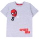 Szara, chłopięca koszulka/t-shirt  na krótki rękaw Spider Man