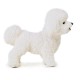 Schleich Pies rasy Bichon frise, figurka dla dzieci Farm World