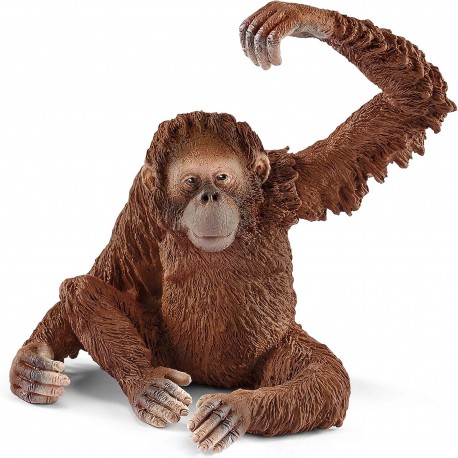 Schleich Wild Life - Orangutan samica, figurka dla dzieci 3+