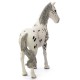 Schleich Horse Club - Koń klacz rasa knabstrupper, figurka dla dzieci 3+