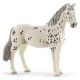 Schleich Horse Club - Koń klacz rasa knabstrupper, figurka dla dzieci 3+