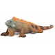 Schleich Wild Life - Iguana, figurka dla dzieci 3+