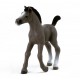 Schleich Horse Club - Źrebię rasy selle francais, figurka dla dzieci 3+