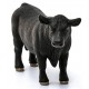 Schleich Farm World - Byk rasy czarny angus, figurka dla dzieci 3+