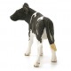 Schleich Farm World - Cielę rasy Holstein, figurka dla dzieci 3+