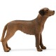 Schleich Farm World - Pies rasa Rhodesian Ridgeback, figurka dla dzieci 3+