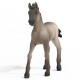 Schleich Horse Club - Koń źrebię rasa Criollo Definitivo, figurka konia dla dzieci 3+