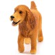 Schleich Farm World - Pies rasa Angielski Cocker Spaniel, figurka dla dzieci 3+