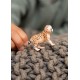 Schleich Wild Life - Młody gepard, figurka dla dzieci 3+