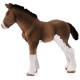 Schleich Horse Club - Zestaw figurek koni, źrebaki figurki zwierząt dla dzieci 5szt.