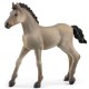 Schleich Horse Club - Zestaw figurek koni, źrebaki figurki zwierząt dla dzieci 5szt.