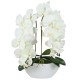 Sztuczny storczyk orchidea w doniczce, ecru, jak żywy, 2 pędy 53 cm