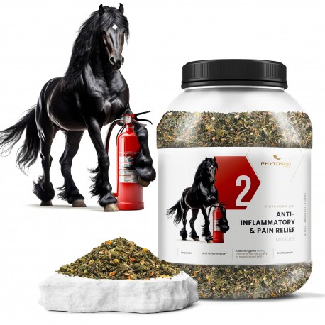 Phytoseo ziołowa mieszanka PHYTO HORSE 2 - przeciwzapalna - 1,2 kg