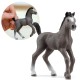 Schleich Horse Club - Źrebię rasy selle francais, figurka dla dzieci 3+