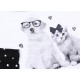 Czarno-biała piżama kot i pies PRIMARK