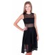 Black Fit and Flare Style Sleeveless Full Sheer Mesh Midi Dress by John Zack