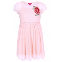 Girls' Beautiful Delicate Light Pink Tulle Dress With A Rose