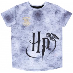 Szara koszulka, t-shirt Harry Potter