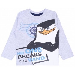 Szara bluzka, t-shirt Pingwiny z Madagaskaru