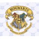 Biało-granatowa piżama chłopieńca HOGWARTS Harry Potter