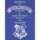 Niebiesko-srebrna bluzka HOGWARTS Harry Potter