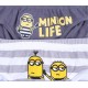 3x Szare chłopięce slipy MINIONKI