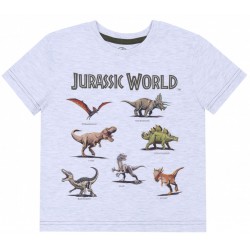 Szara koszulka/t-shirt w dinozaury Park Jurajski