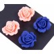 2x boucles d&#039;oreilles roses bleues, roses