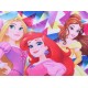 Colourful Pencil Case Princess DISNEY