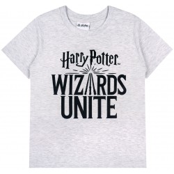 Szara bluzka na krótki rękaw z nadrukiem Harry Potter