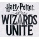 Szara bluzka na krótki rękaw z nadrukiem Harry Potter