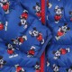 Disney Mickey Mouse Boy Waterproof Blue Jacket