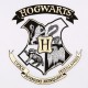 Biały t-shirt damski HOGWARTS Harry Potter