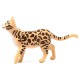 Schleich Farm World - Gatto del Bengala, statuetta per bambini 3+