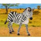 Schleich Wild Life - Zebra samica, figurka dla dzieci 3+