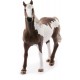 Schleich Horse Club - Koń wałach rasa Paint, figurka dla dzieci 3+