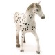 Schleich Horse Club - Koń ogier rasa Knabstrupper , figurka dla dzieci 3+