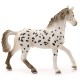 Schleich Horse Club - Koń ogier rasa Knabstrupper , figurka dla dzieci 3+