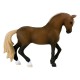 Schleich Horse Club - Étalon de race paso péruvien, figurine pour enfants de 5 ans et plus