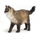 Schleich Farm World - Kot rasy Ragdoll, figurka dla dzieci 3+