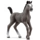 Schleich Horse Club - Źrebię rasy selle francais, figurka dla dzieci 3+