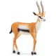 Schleich Wild Life - Gazela Thomsona, figurka dla dzieci 3+