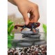 Schleich Wild Life - Kameleon, figurka dla dzieci 3+