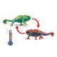 Schleich Wild Life - Kameleon, figurka dla dzieci 3+