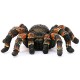 Schleich Wild Life - Pająk Tarantula, ptasznik, figurka dla dzieci 3+